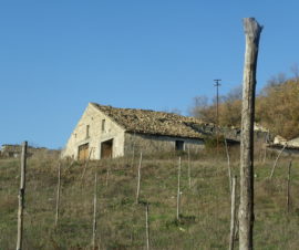 Casolari di campagna in Molise