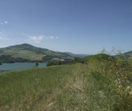 terreno vista lago