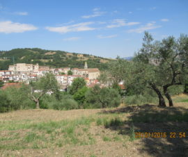 Terreno con fabbricato rurale