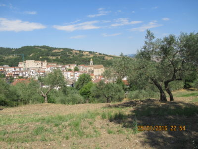 Terreno con fabbricato rurale