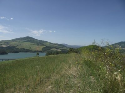 terreno vista lago